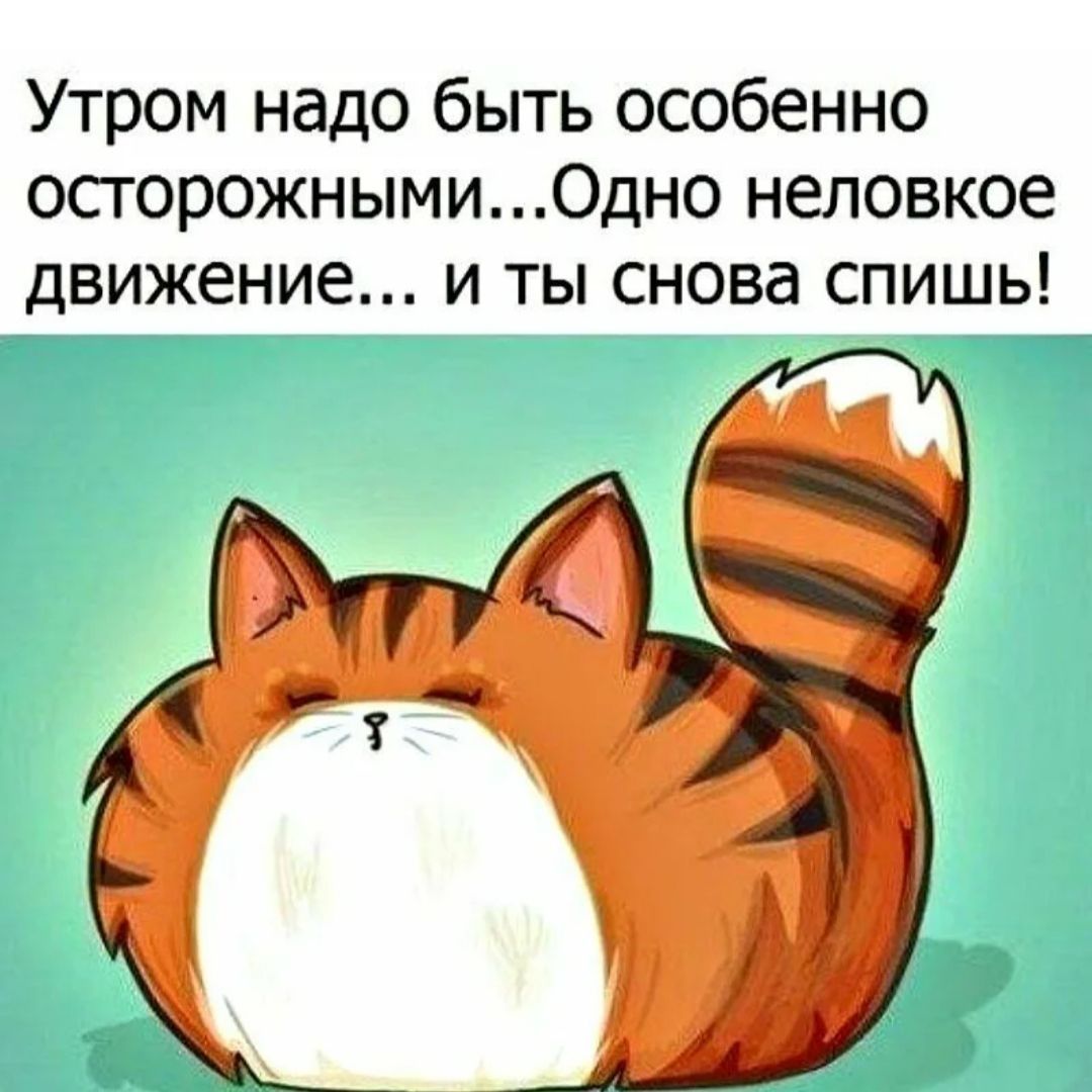 Утром надо быть особенно осгорожными0дно неловкое ДВИЖЕНИЕ И ТЫ снова СПИШЬ