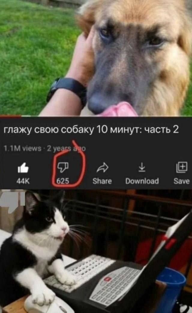 2 паге Оомтоза Заме ГОр