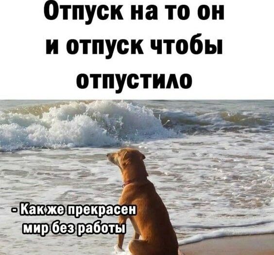 Отпуск на то он и отпуск чтобы