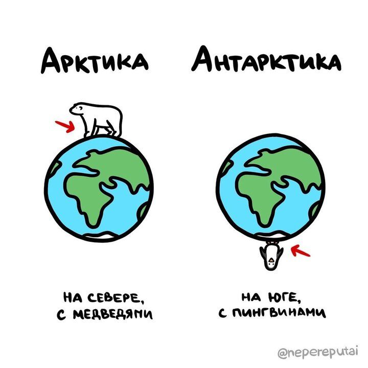 АэктикА АнтАРКТИКА ъ НА СЕбЕРЕ НА ЮГЕ МЕДВЕДЯМИ пиНГВАНАМи