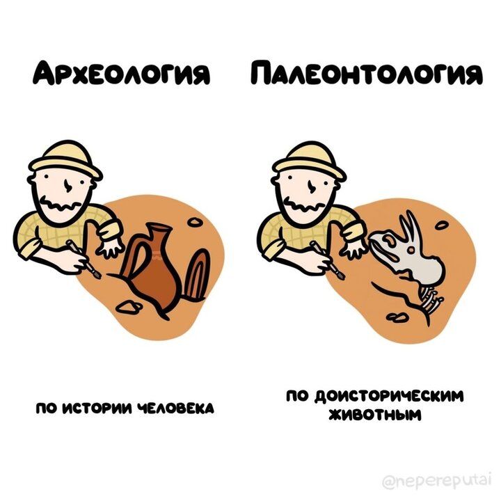 АрХЕОЛОГИЯ