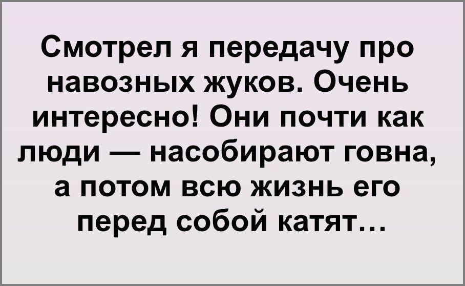 Смотрел я передачу про навозных жуков Очень интересно Они почти как люди насобирают говна а потом всю жизнь его перед собой катят