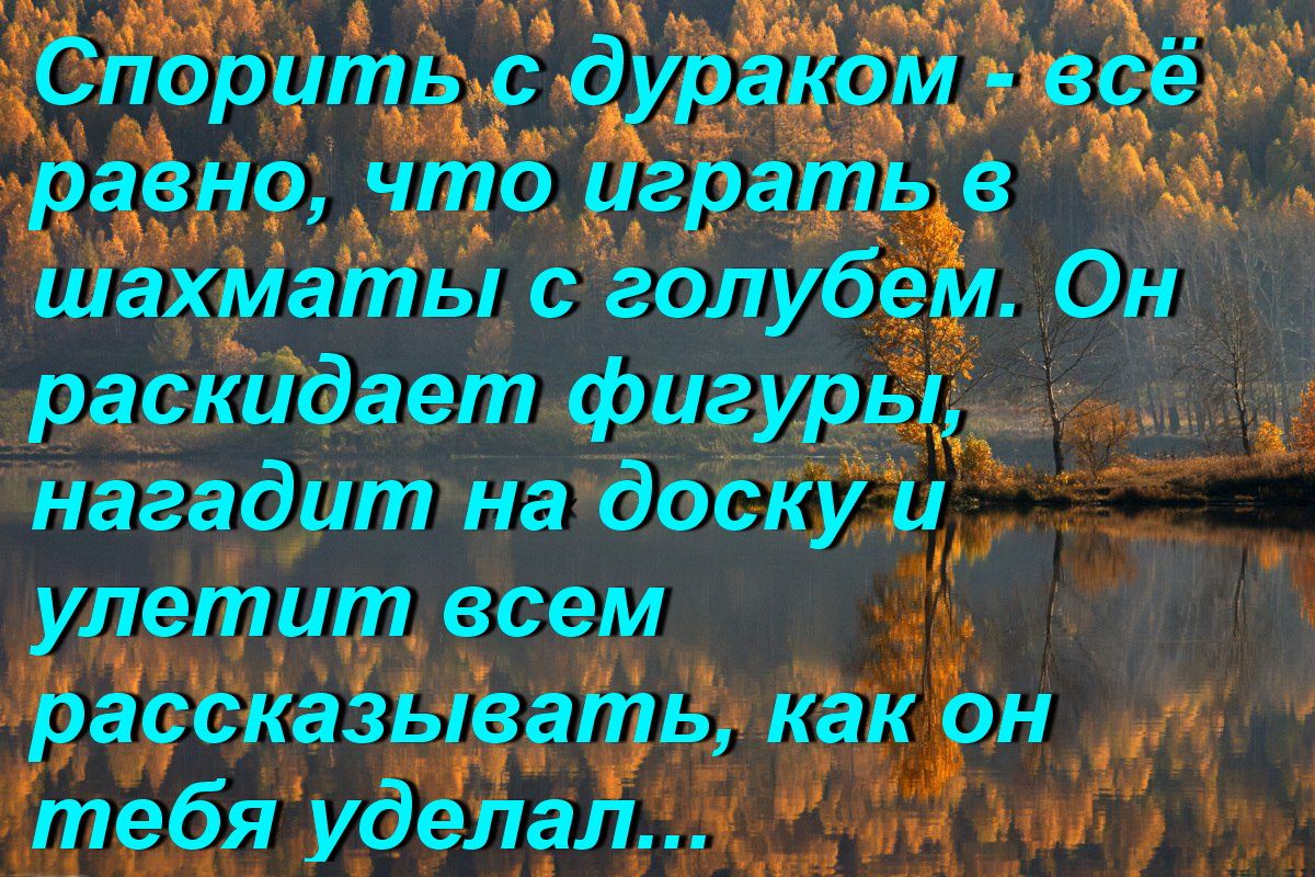 Спорить С дураком вс Равно Что Играть е 28 Шахмать с голубем ОН раскидает фигуры нНагадитнадоску и улетитвсем Рассказыватекак он тебяуделал