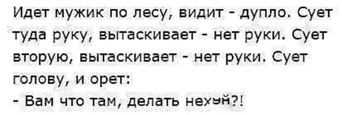 Идет мужик по лесу видит дупло Сует туда руку вытаскивает нет руки Сует вторую вытаскивает нет руки Сует голову и орет Вам что там делать нехэй