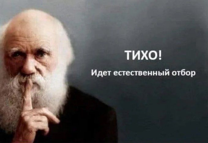 тихо Идет естественный отбор