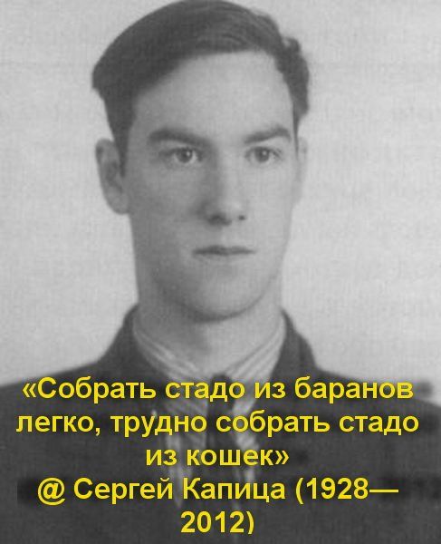Собрать стадо йз баранов легко трудно сёбрать стадо из Кошёк Сергей КапИца 1928 2012