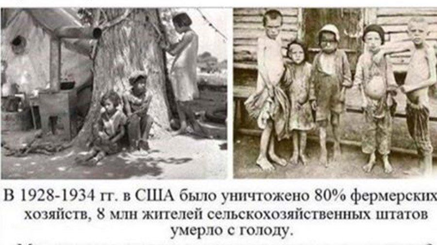 В 1928 1934 тт в США было уничтожено 80 фермерских хозяйств 8 млн жителей сельскохозяйственных штатов умерло с голоду