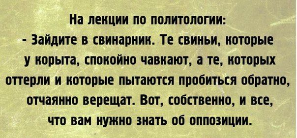 На лекции по политологии Зайдите в свинарник Те свиньи которые у корыта спокойно чавкают а те которых оттерли и которые пытаются пробиться обратно отчаянно верещат Вот собственно и все что вам нужно знать об оппозиции