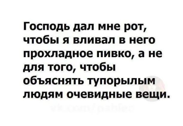 Господь дал мне рот чтобы я вливал в него прохладное пивко а не для того чтобы объяснять тупорылым людям очевидные вещи