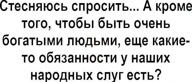 Стесняюсь спросить А кроме того чтобы быть очень богатыми людьми еще какие то обязанности у наших народных слуг есть