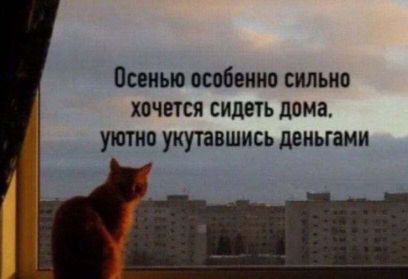 Осенью особенно сильно хочется сидеть дома уютно укутавшись деньгами