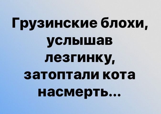 Грузинские блохи услышав лезгинку затоптали кота насмерть