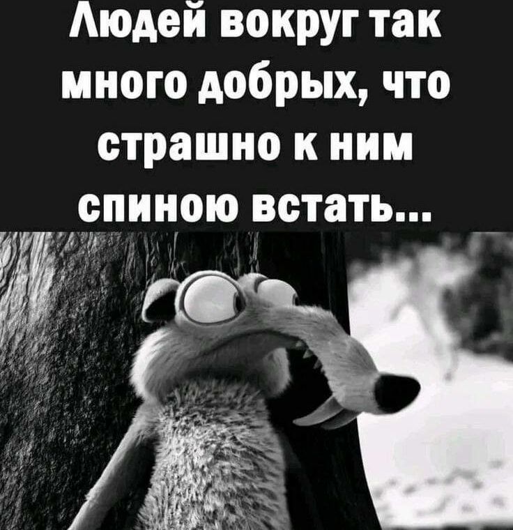 Людей вокруг так много добрых что страшно к ним спиною встать