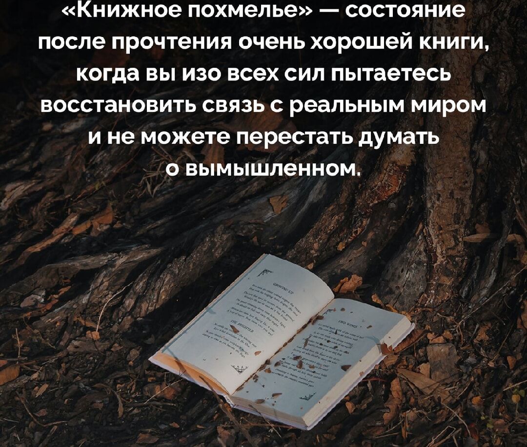 Книжное похмелье состояние после прочтения очень хорошей книги когда вы изо всех сил пытаетесь восстановить связь с реальным миром ине можете перестать думать о вымышленном