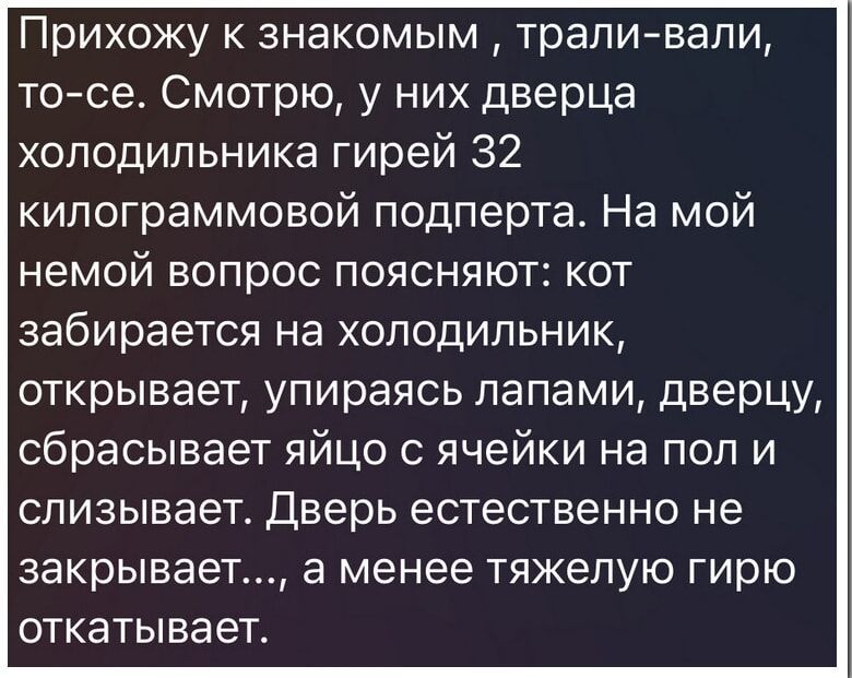 Прихожу к знакомым трали вали то се Смотрю у них дверца холодильника гирей 32 килограммовой подперта На мой немой вопрос поясняют кот забирается на холодильник открывает упираясь лапами дверцу сбрасывает яйцо с ячейки на пол и слизывает Дверь естественно не закрывает а менее тяжелую гирю откатывает