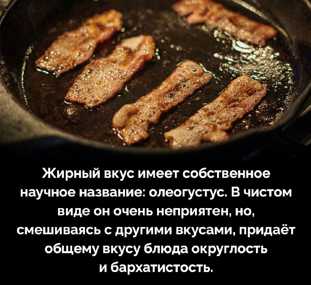 Жирный вкус имеет собственное научное название олеогустус В чистом виде он очень неприятен но смешиваясь с другими вкусами придаёт общему вкусу блюда округлость и бархатистость