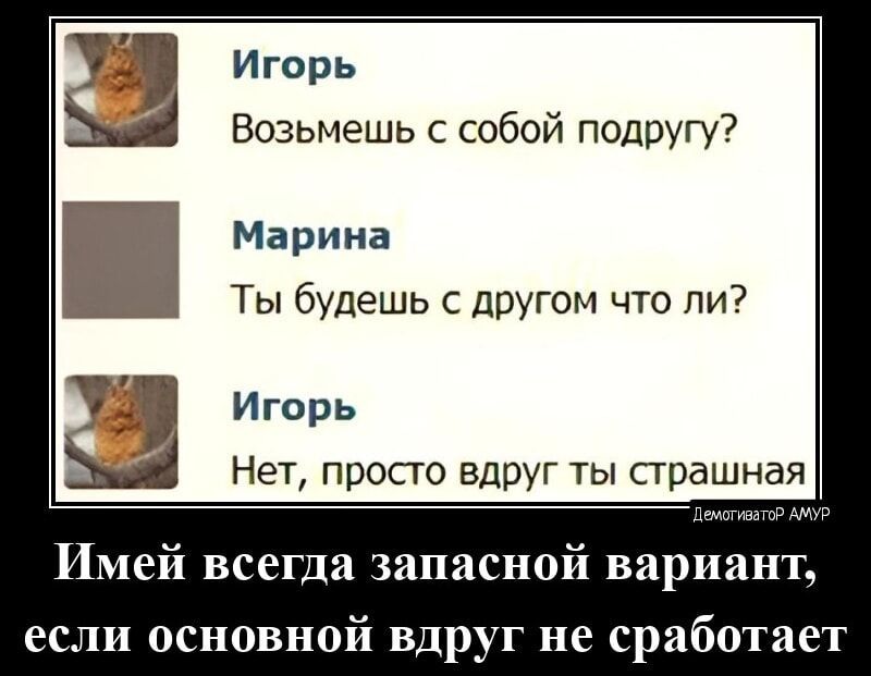 Игорь Возьмешь с собой подругу Марина Ты будешь с другом что ли Игорь Нет просто вдруг ты страшная