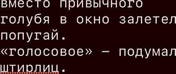 вместо пПривычного голубя в окно залетел попугай голосовое подумал ШТИрЛИЦ