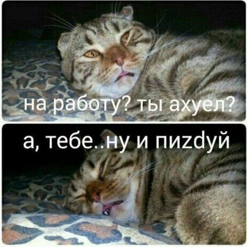 а тебе и пигдуй 3 ы М