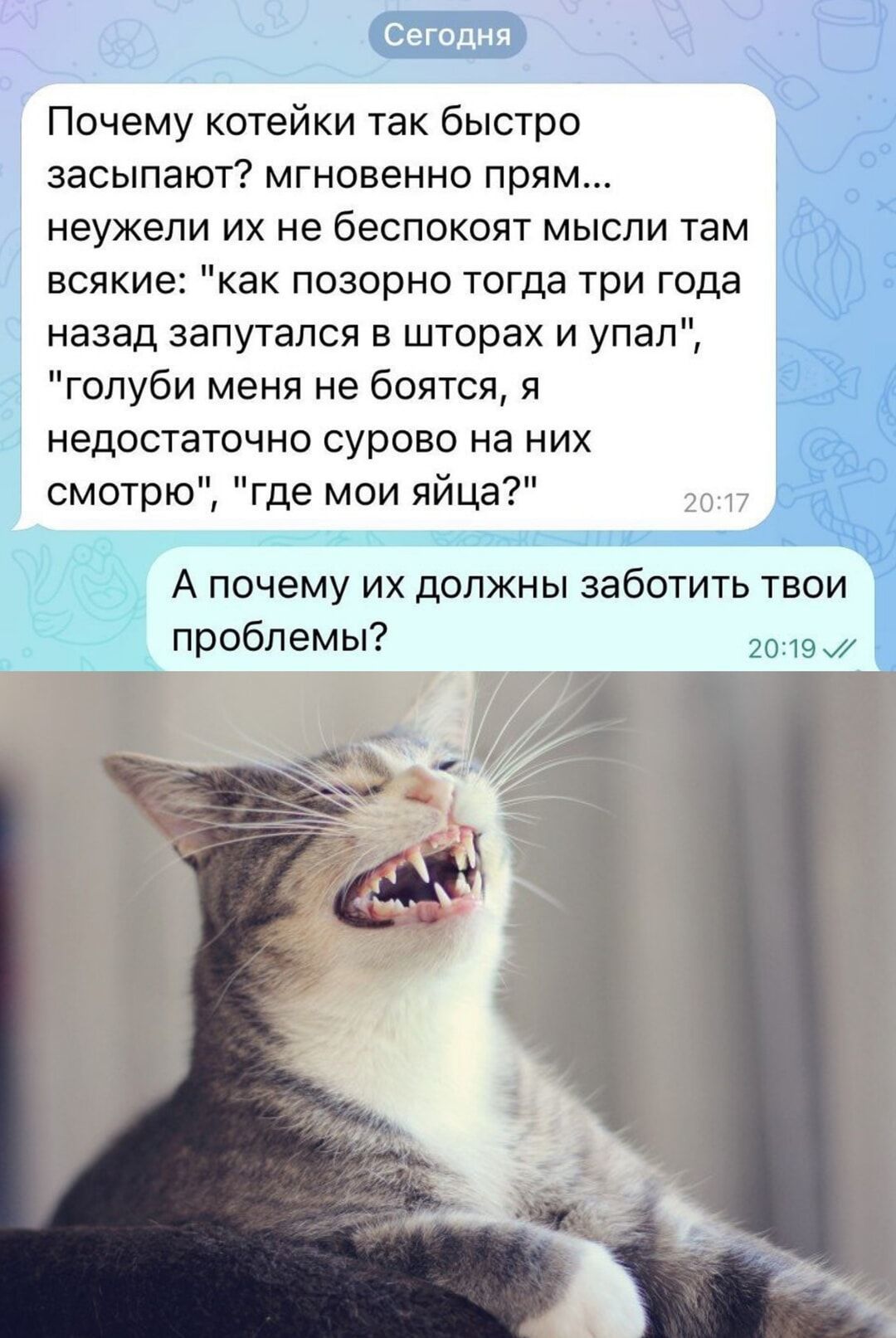 Сегодня Почему котейки так быстро засыпают мгновенно прям неужели их не беспокоят мысли там всякие как позорно тогда три года назад запутался в шторах и упал голуби меня не боятся я недостаточно сурово на них смотрю где мои яйца 20 А почему их должны заботить твои проблемы 2019 к Й