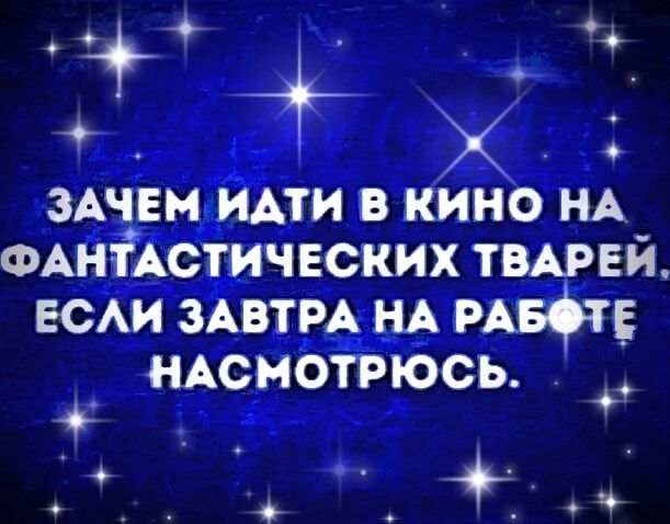 ы К ооа ЗАЕН ИАТИ В КИНО НА ФАНТАСТИЧЕСКИХ ТВАРЕЙ ЕСЛИ ЗАВТРА НА РАБТЕ НАСМОТРЮСЬ 4 у ы й