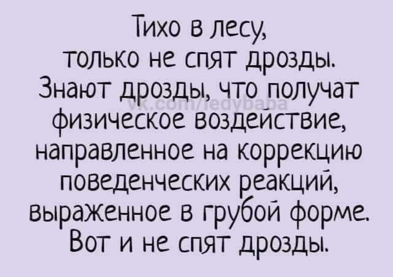 Тихо в лесу только нё спят дрозды Знают дрозды что получат физическое воздеиствие направленное на коррекцию поведенческих реакций выраженное в грубой форме Вот и не спят дрозды