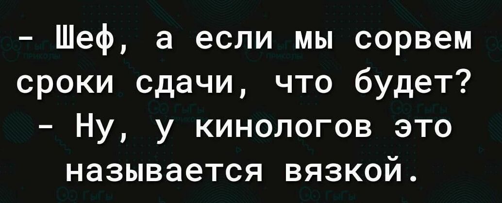 Шеф а если мы сорвем сроки сдачи что будет Ну у кинологов это называется вязкой