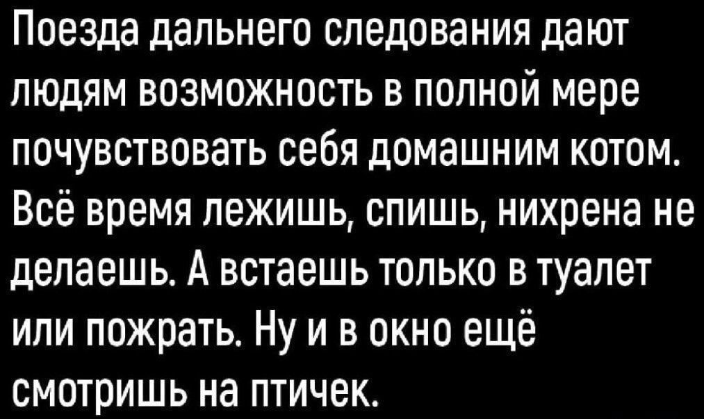 Поезда дальнего следования дают людям возможность в полной мере почувствовать себя домашним котом Всё время лежишь спишь нихрена не делаешь А встаешь только в туалет или пожрать Ну и в окно ещё смотришь на птичек