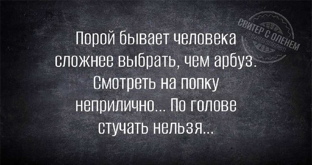 Порой бывает человека сложнее выбрать чем арбуз Смотреть на попку неприлично По голове стучать нельзя