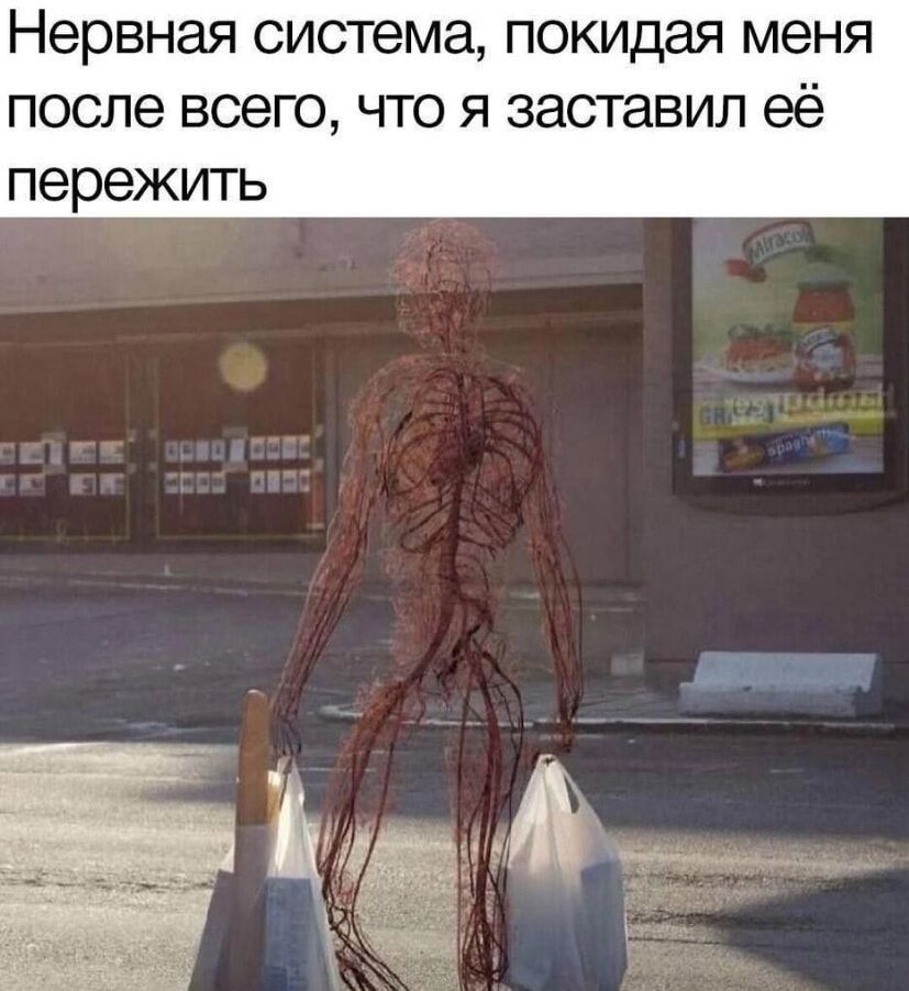 Нервная система покидая меня после всего что я заставил её пережить
