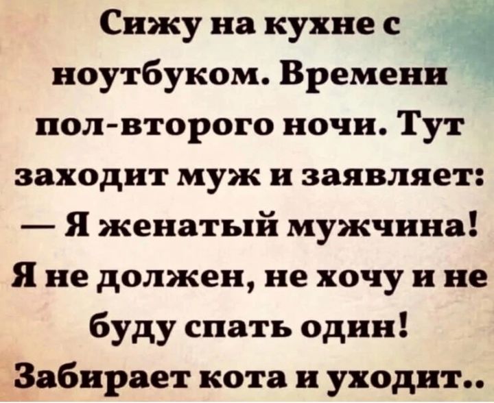 Сижу на кухне с 1 ноутбуком Времени пол второго ночи Тут заходит муж и заявляет Яженатый мужчина Я не должен не хочу и не буду спать один Забирает кота и уходит