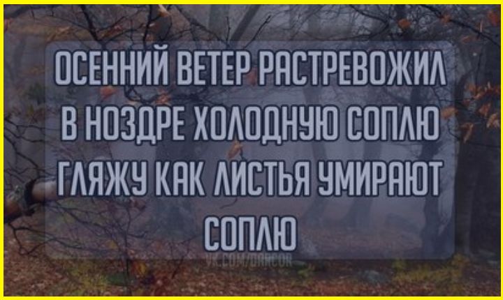 ГЕ ЯЕНАЫ ОСЕННИЙ ВЕТЕР РАСТРЕВОЖИ В НОЗДРЕ хмпдншЩппдш ГАЯЖУ КАК ЛИСТЬЯ УМИРЯЮТ СОПЛЮ