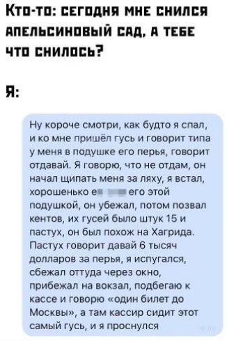 Кто то СЕГОДНЯ МНЕ СНИЛСЯ АПЕЛЬСИНОВЫЙ САД А ТЕБЕ что снилось Ну короче смотри как будто я спал ико мне пришёл гусь и говорит типа у меня в подушке его перья говорит отдавай Я говорю что не отдам он начал щипать меня за ляху я встал хорошенько ея жа его этой подушкой он убежал потом позвал кентов их гусей было штук 15 и пастух он был похож на Хагри