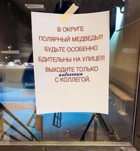 В ОКРУГЕ ПОЛЯРНЫЙ МЕДВЕДЬ БУДЬТЕ ОСОБЕННО БДИТЕЛЬНЫ НА УЛИЦЕ ВЫХОДИТЕ ТОЛЬКО иадпенный ОЛЛЕГОЙ