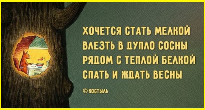 ХОЧЕТСЯ СТАТЬ МЕЛКОЙ ВЛЕЗТЬ В ДУПЛО СОСНЫ РЯПОМ С ТЕПЛОЙ БЕЛКОЙ СПАТЬ И ЖДАТЬ ВЕСНЫ носТылЬ