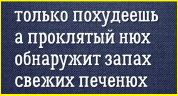 только похудеешь а проклятый нюх обнаружит запах свежих печенюх