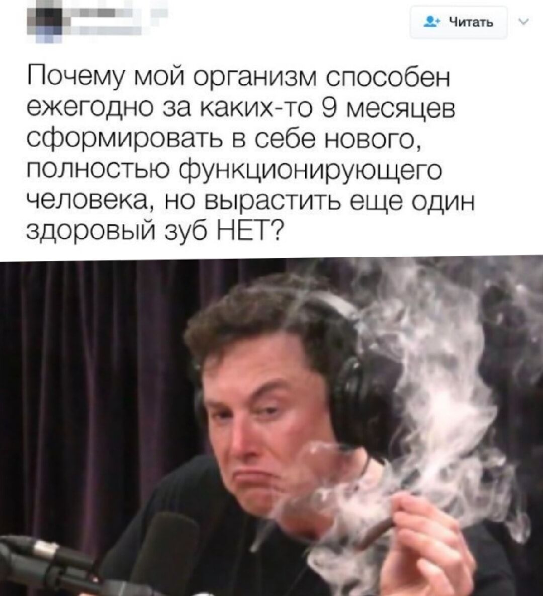 а 3 Читать Почему мой организм способен ежегодно за каких то 9 месяцев сформировать в себе нового полностью функционирующего человека но вырастить еще один здоровый зуб НЕТ