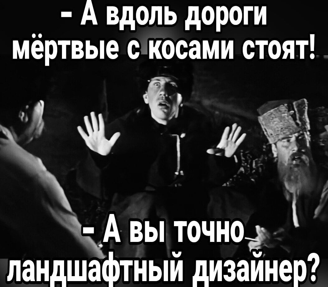 А вдоль дороги мёртвые с косами стоят Ч ФЁ ъ А ВЫ ТоЧНО 5 ландшафтныи дизаинер