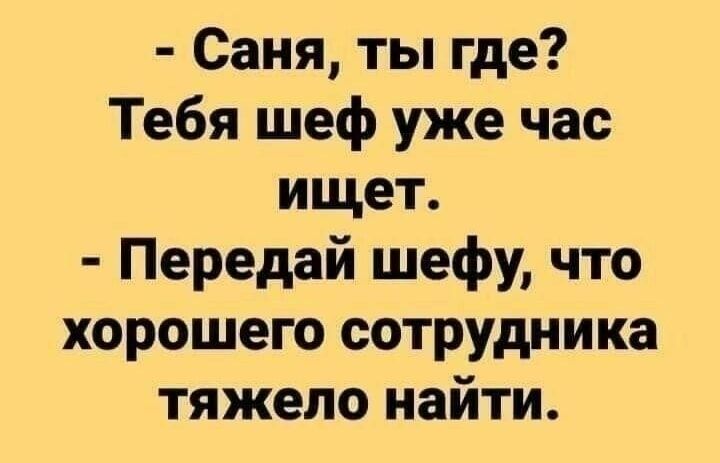 Саня ты где Тебя шеф уже час ищет Передай шефу что хорошего сотрудника тяжело найти