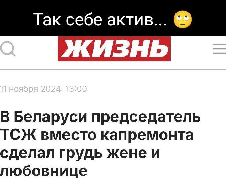 Так себе актив В Беларуси председатель ТСЖ вместо капремонта сделал грудь жене и любовнице