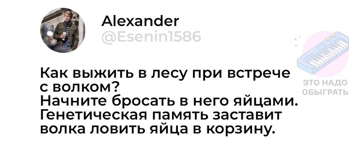 Аехапег Как выжить в лесу при встрече сволком Начните бросать в него яйцами Генетическая память заставит волка ловить яйца в корзину