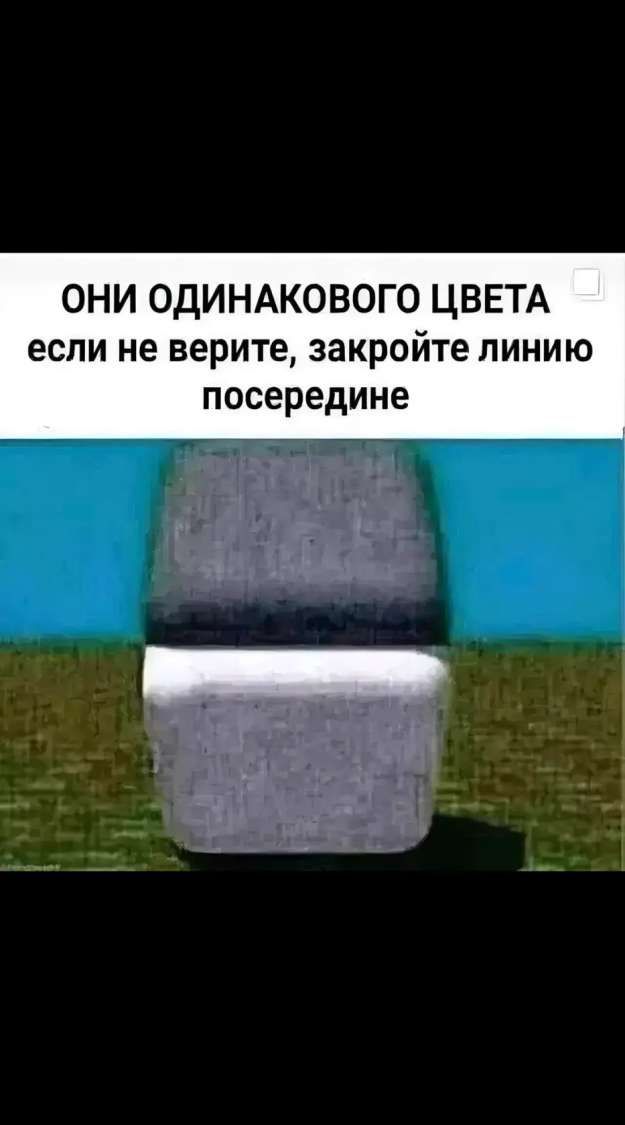 ОНИ ОДИНАКОВОГО ЦВЕТА если не верите закройте лИНИЮ посередине
