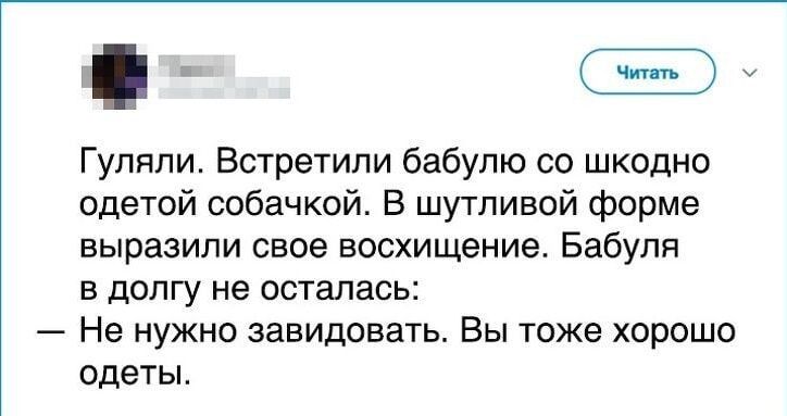 ы е Гуляли Встретили бабулю со шкодно одетой собачкой В шутливой форме выразили свое восхищение Бабуля в долгу не осталась Не нужно завидовать Вы тоже хорошо одеты