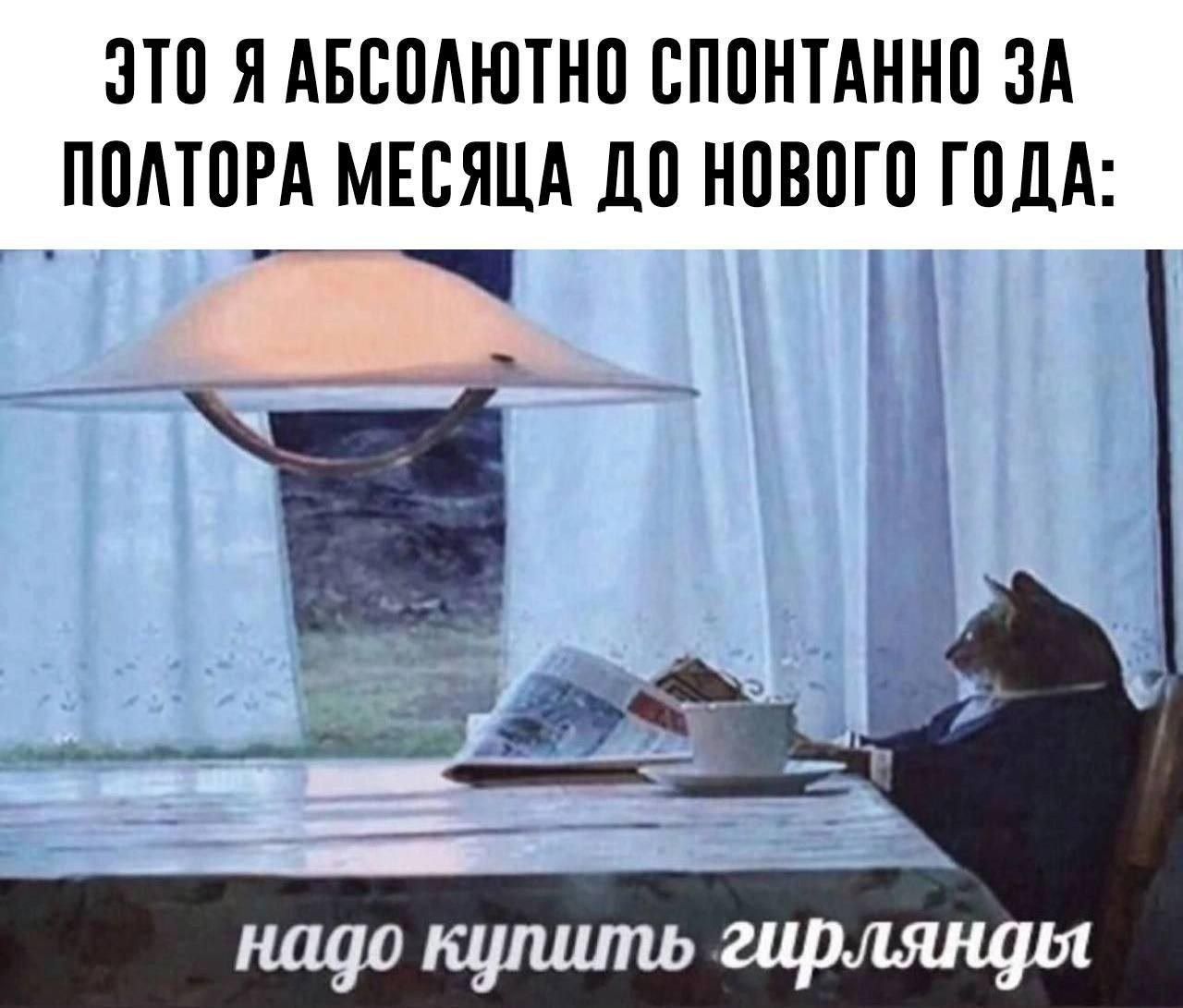 ЭТО ЯАБСОЛЮТНО СПОНТАННО ЗА ПОЛТОРА МЕСЯЦА ДО НОВОГО ГОДА