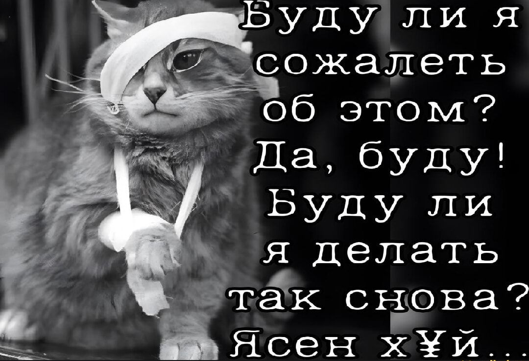 Ясен хй