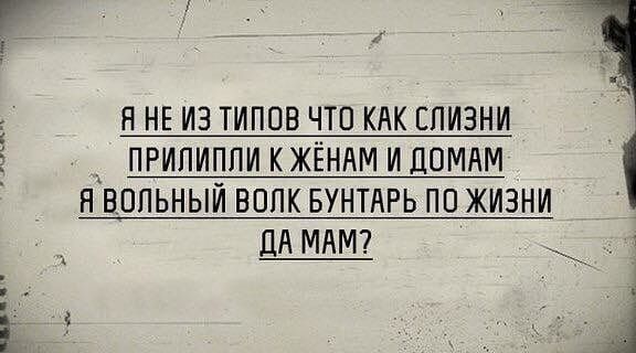 ПРИЛИПЛИ К ЖЁНАМ И ДОМАМ Я ВОЛЬНЫЙ ВОЛК БУНТАРЬ ПО ЖИЗНИ ДА МАМ ЧЕ Я НЕ ИЗ ТИПОВ ЧТО КАК СЛИЗНИ