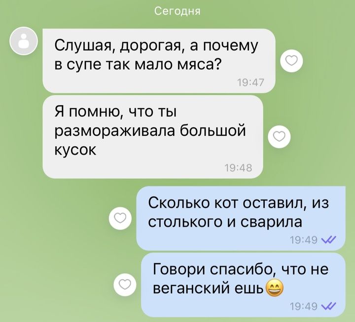 Слушая дорогая а почему в супе так мало мяса Я помню что ты размораживала большой кусок Сколько кот оставил из столького и сварила м Говори спасибо что не веганский ешь 22