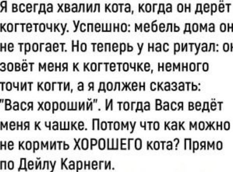 Я всегда хвалил кота когда он дерет когтеточку Успешно мебель дома он не трогает Но теперь у нас ритуал 0 зовёт меня к когтеточке немного точит когти а я должен сказать Вася хороший И тогда Вася ведёт меня к чашке Потому что как можно не кормить ХОРОШЕГО кота Прямо по Дейлу Карнеги