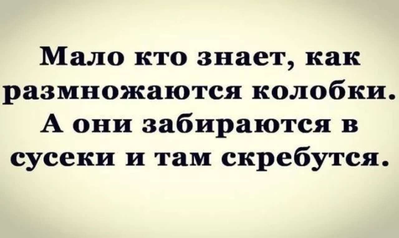 Мало кто знает как размножаются колобки А они забираются в сусеки и там скребутся