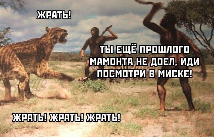 сопи ЖЕАТЬЭЖеАТЬРЖеАТЬ